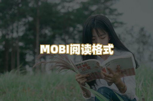 MOBI阅读格式